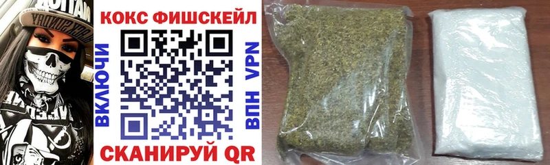 Cocaine Fish Scale  Купить закладки  Фокино 
