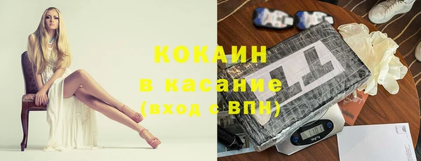 трава Осинники