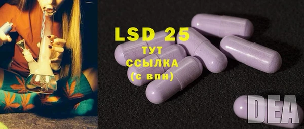 трава Осинники
